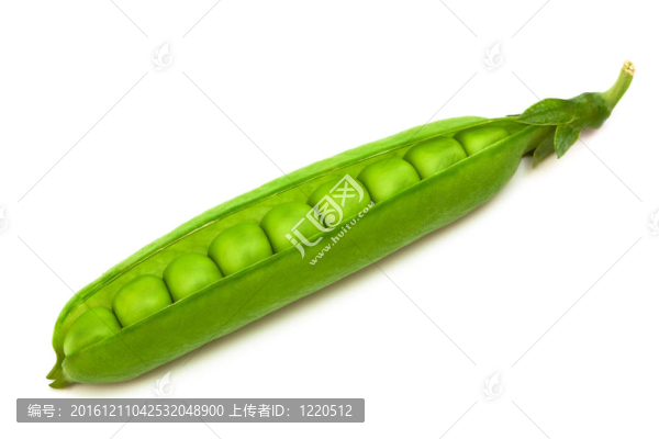 鮮豌豆莢