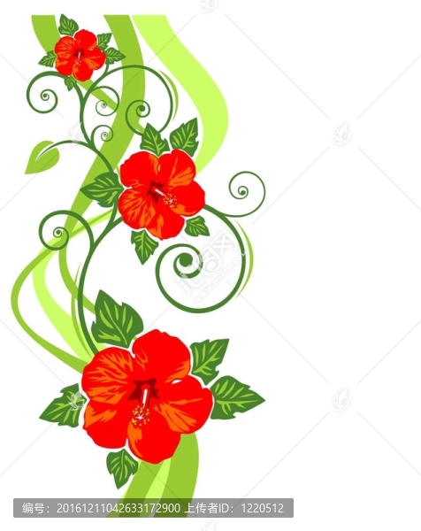 紅色的花朵圖案