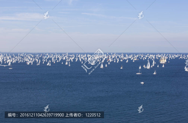 巴塞羅那2010；的里雅斯特帆船賽