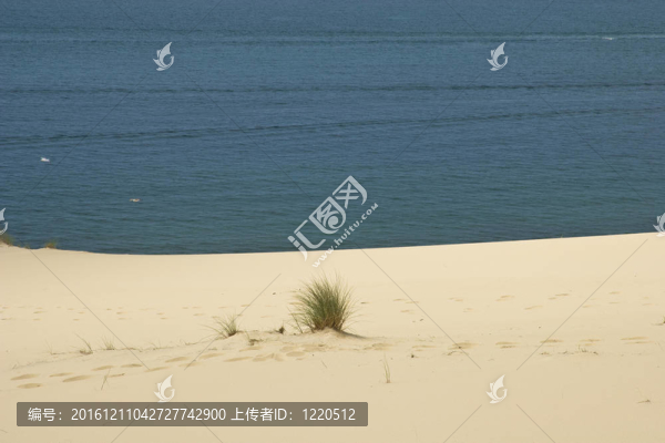 海邊的沙漠沙丘