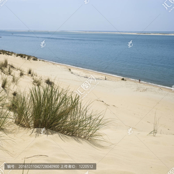 海邊的沙漠沙丘