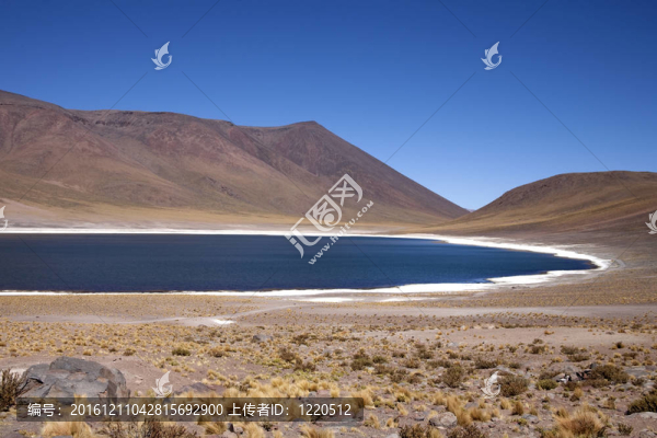 在阿塔卡馬沙漠附近的Lagunas,Miscanti和Meniques的安第斯山脈