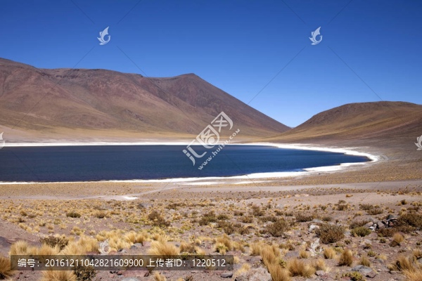 在阿塔卡馬沙漠附近的Lagunas,Miscanti和Meniques的安第斯山脈