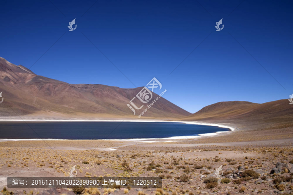 在阿塔卡馬沙漠附近的Lagunas,Miscanti和Meniques的安第斯山脈