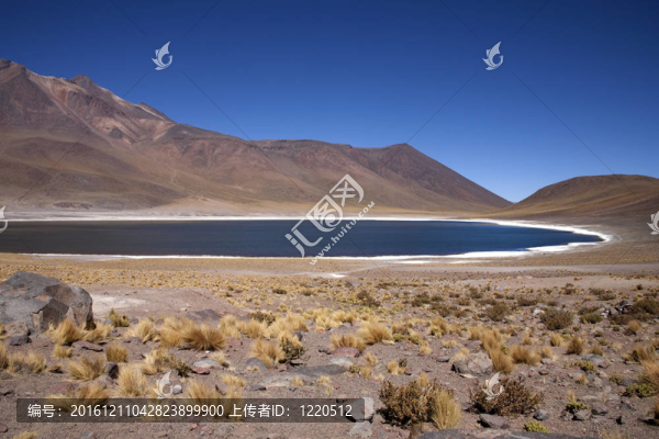 在阿塔卡馬沙漠附近的Lagunas,Miscanti和Meniques的安第斯山脈