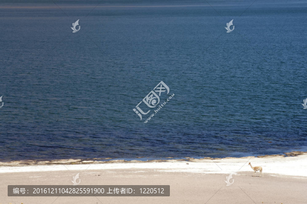 在阿塔卡馬沙漠附近的Lagunas,Miscanti和Meniques的安第斯山脈