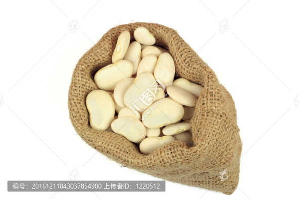 種子大利馬（黃油）豆。