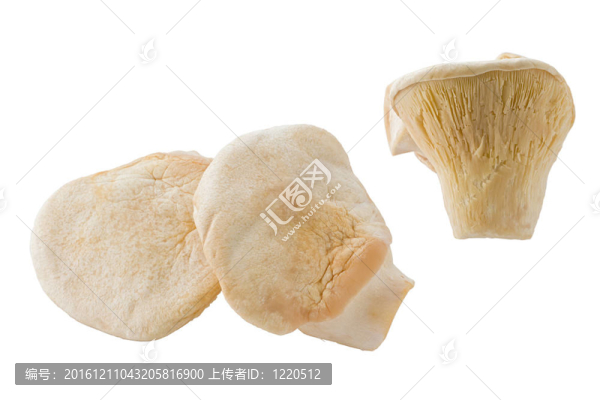 白靈菇
