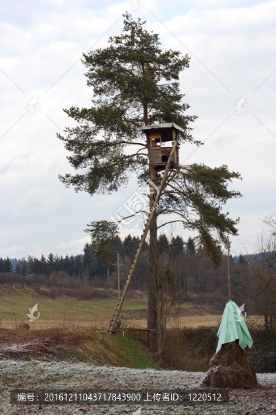 獵人的射擊小屋