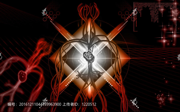 血管系統(tǒng)