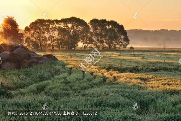 日出景觀