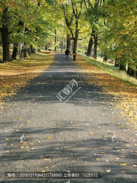 公園里的小巷