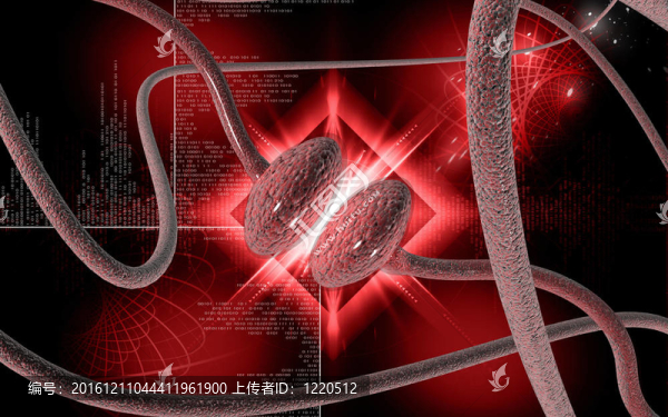 突觸