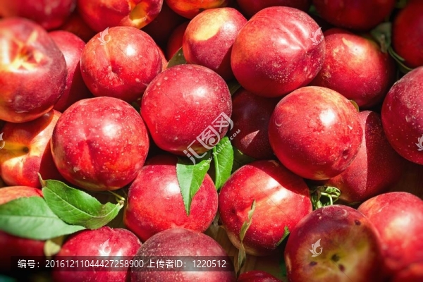 油桃