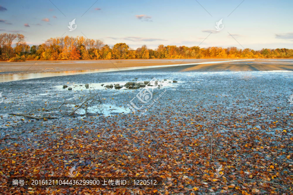 排水池