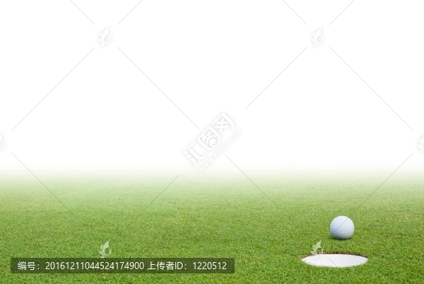 高爾夫球和綠草