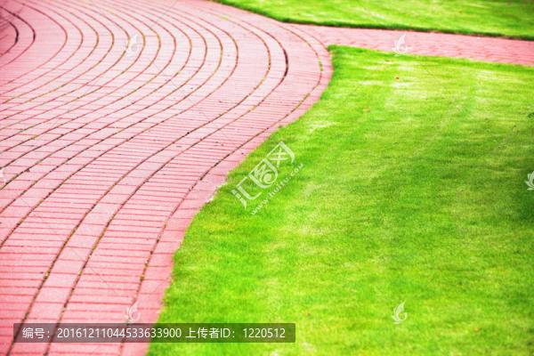 花園路與草；磚人行道