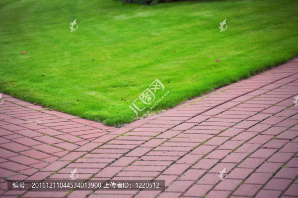 花園路與草；磚人行道