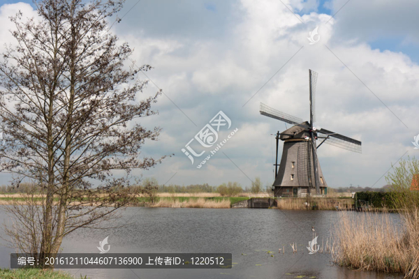 美麗的風(fēng)車在春天；Kinderdijk；荷蘭