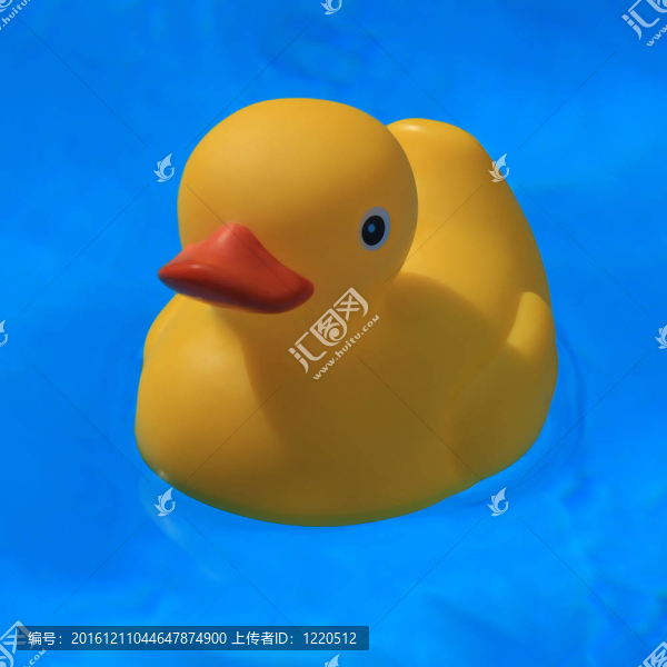 橡皮鴨在游泳池里游泳