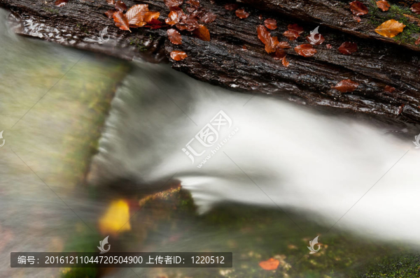 美麗的Autumnm,Waterfall