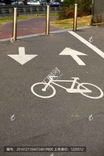自行車路徑