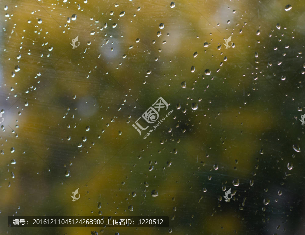 窗雨