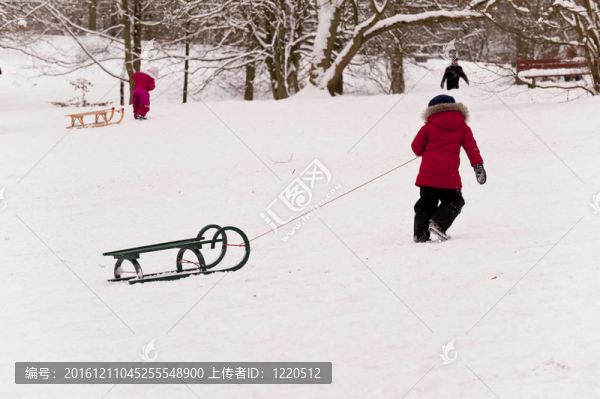滑雪橇