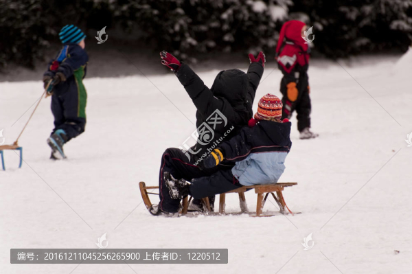 滑雪橇