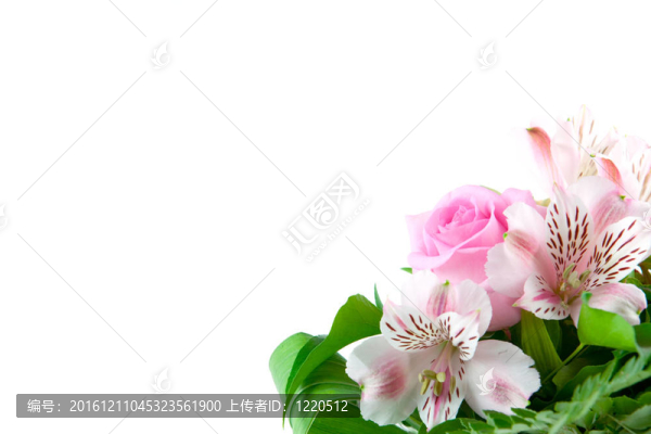 花的問候