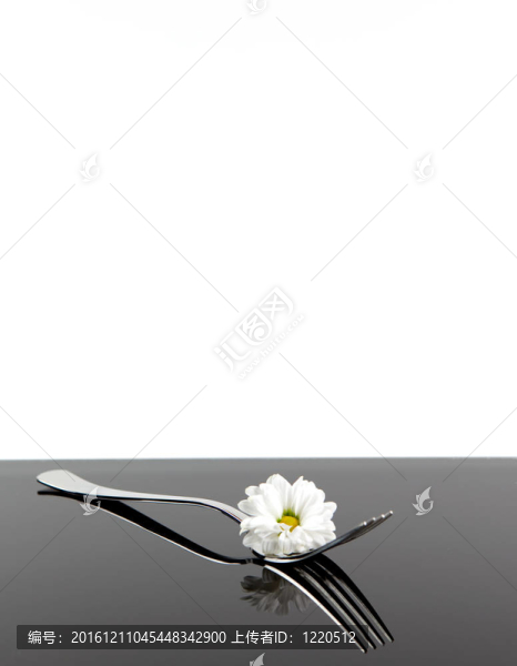 叉與開花