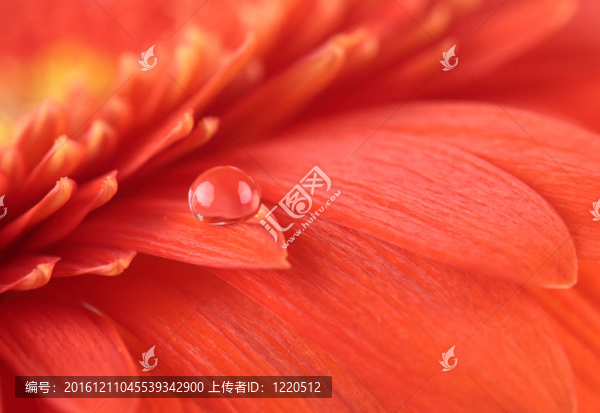 水滴在Gerber
