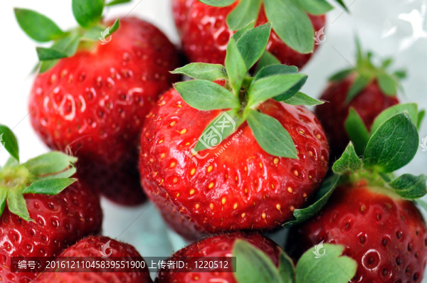 草莓