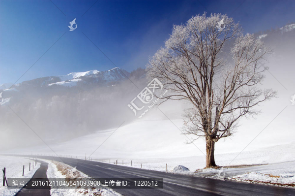 山區(qū)的冬季道路