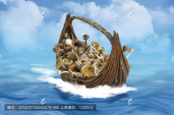 蘑菇和海