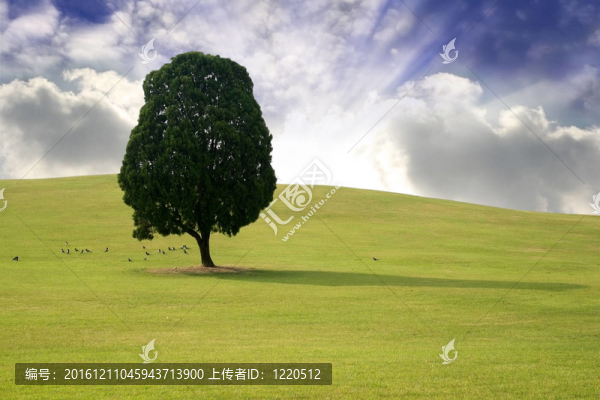 森塞特春季景觀
