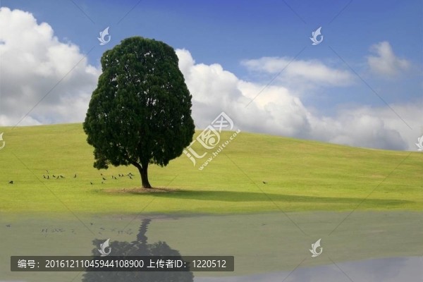 韓國春季景觀與反思