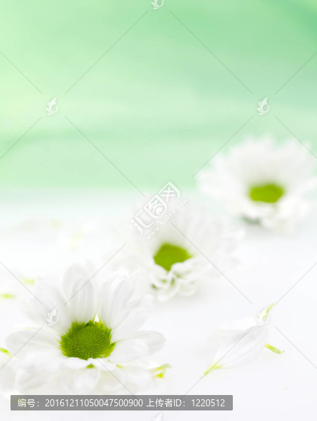 我的時(shí)間