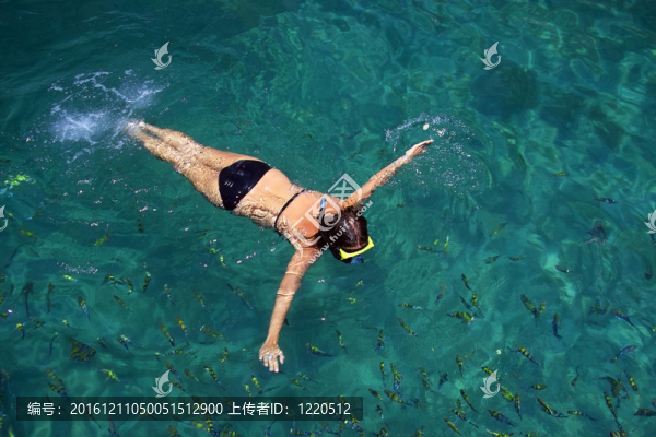 女人在海上浮潛的魚包圍