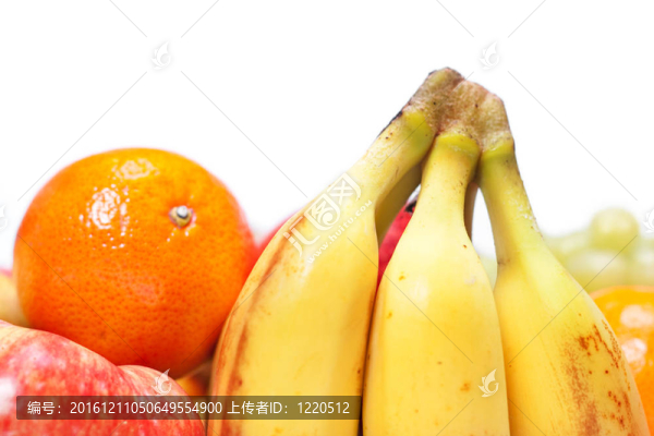 白底果實(shí)。