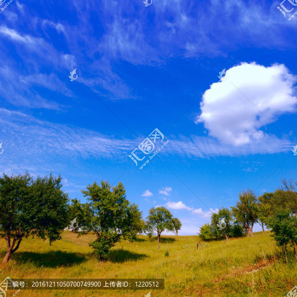 夏天的風(fēng)景