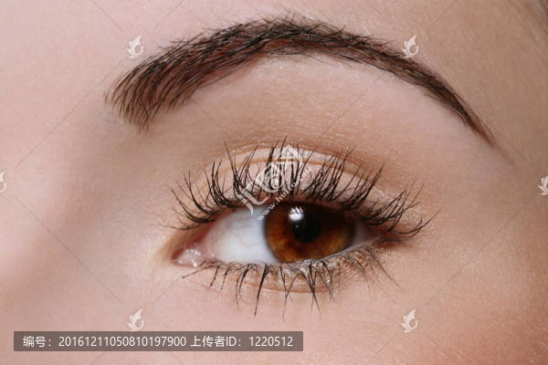 女人的眼睛