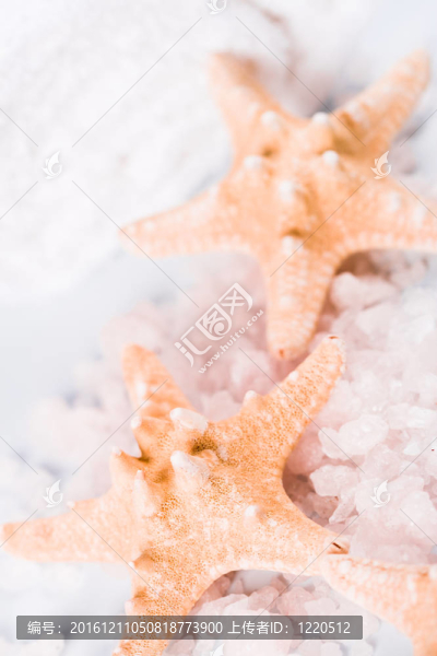 海鹽；毛巾和stadfish