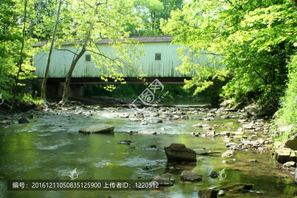 綠軍士橋