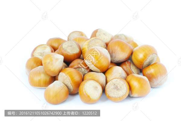 榛子
