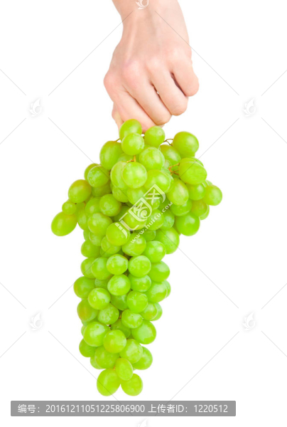 手上的葡萄