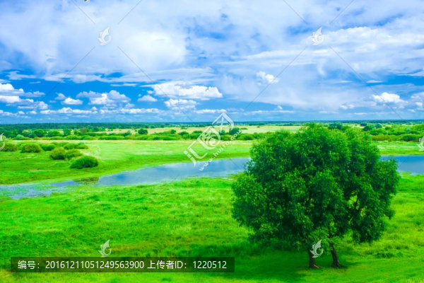景觀
