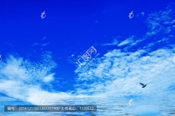 藍(lán)色的天空，寒冷的鳥