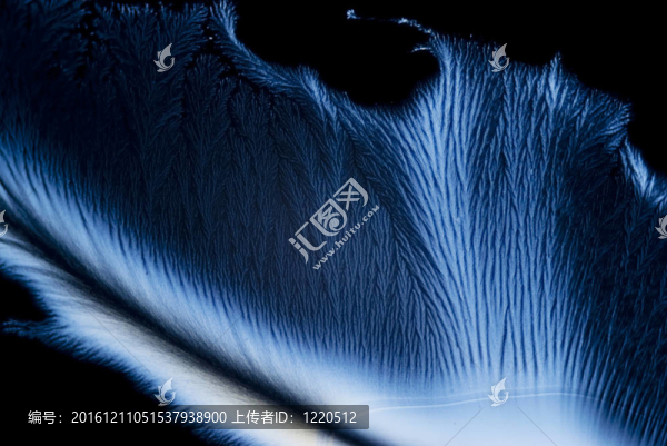 微晶