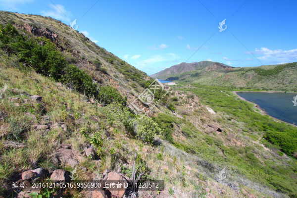美麗的Saint,Kitts